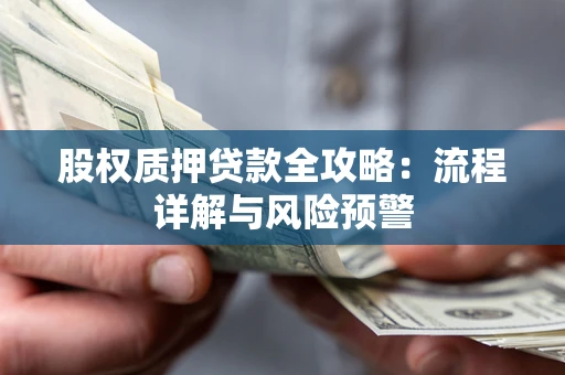 北京股权质押贷款全攻略：流程详解与风险预警