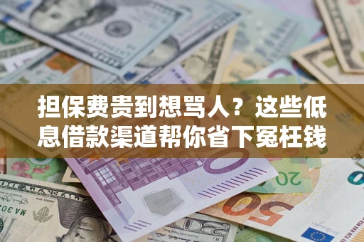 北京担保费贵到想骂人？这些低息借款渠道帮你省下冤枉钱