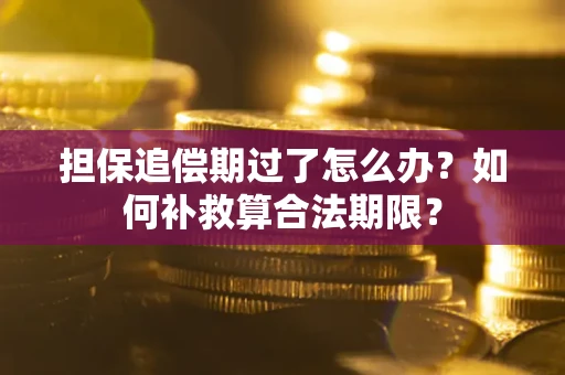 北京担保追偿期过了怎么办？如何补救算合法期限？