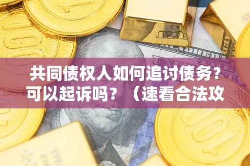 北京共同债权人如何追讨债务？可以起诉吗？（速看合法攻略）